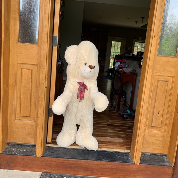 Meet your Posher, Ruby - Picture 1 of 1